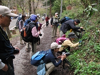 �^�J�I�X�~���B�e�ɌQ�����s�`