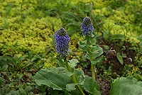 ���ɐV�N�ȃz�\�o�E���b�v�\�E�𔭌��I�I