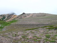 �Ԋx�Ɍ������đ��R�炵���L��������������B