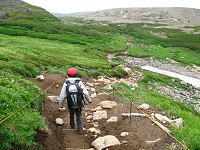 ��S��k�̋}�������B