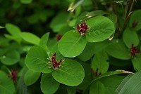 �`�V�}�q���E�^���{�N