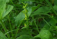 �~���}�`�h��