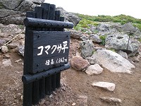 �R�}�N�T���̊ŔB�߂��ɊĎ���������B