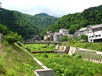 �w�_������X