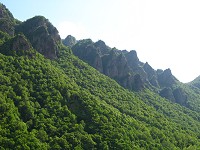 �w�_���̌i��