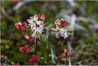 �`�V�}�c�K�U�N��