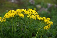 �`�V�}�L�����C�J