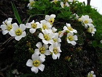 �C���E��