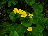 �G�]�����E�L���J