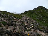 ���_�x�ւ͊�̓o�R����i�ށI