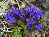 ���V�������h�E