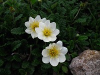 �`���E�m�X�P�\�E