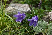 �`�V�}�M�L���E�B�т������ς�����̂��������B