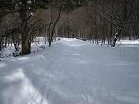 再び雪の車道を歩く。ここも圧雪されているので歩きやすい。