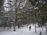 ���_�֑����X�̓��B���̕t�߂͒��Ⴊ�����̂��悭�킩��B