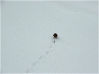 �`�����`�����ƕ�������ĐX�̒��ցE�E�E