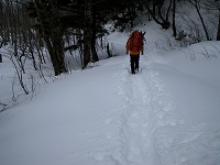 �ᓹ������ɖ{�i�I�ɂȂ��Ă����B