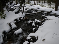 �T���H�ɂ��鏬��B