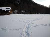 �o�X�^�[�~�i���͐ጴ�ɂȂ��Ă���B