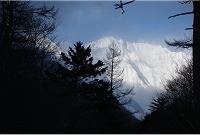 ����Ɖ_���؂�ĕ䍂�̕􂪁I�I�I