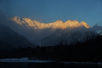 �[�z�ɐ��܂�䍂�̕��􂪔������I�I