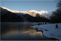 �z�e�����̌ΔȂ���̌��i�B�_�X�����΂���̔����䍂���P���I�I