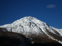 ���X�g�����̑����甒���Ċx�B