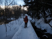 �ΔȂ̒T���H��i�ށB