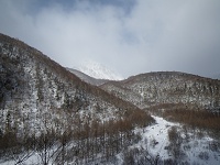 ��i�F�̎R�X�B�Ċx�����X�_�Ԍ����Ă��܂����B