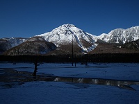 �吳�r�k�݂̉͌�����Ċx�B�����͂�̖؂����̒r�̏�i�𕨌��B