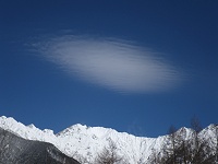 �݂�����̏��ɕs�v�c�ȉ_���I�H