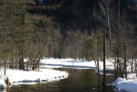 �c��r�t�߂̌i�F�B���X���Y��ȏ��炵���B