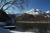 �z�e�����̌ΔȂ���̌��i�B