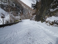 �ԓ��̐�͂悭���܂�Ă��ăX�m�[�V���[�s�v�ł����B