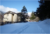 �����b�ɂȂ����吳�r�z�e�����o���B