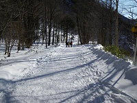 ῂ����ᓹ���ǂ�ǂ񉺂�܂��B