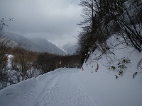 キュッキュッと新雪の道を歩くと前方に岳沢が見えてきた。
