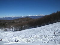 �Ζʂ̏㕔����͔����x�A�􂪈�]�o���Ċ����I�I