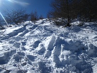 �Ō�̋}�o��o��I�I�@���݂ɓ��łȂ��Ζʂ�o���Ă܂��B