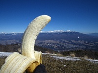 �o�i�i�Ɣ����x�B