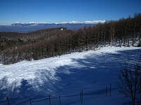 �ĂюΖʏ㕔�ɏo��B