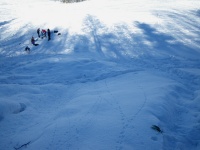 �Ƒ��A�ꂪ�V��ł����B�i���̓l�b�g�̒m�荇��������(^-^)�j