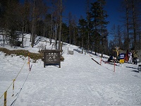 ���}�R�o�R�R�[�X������B�샋�[�g�Ɩk���[�g������B