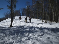 �����ƎΖʂ�o��B������͓샋�[�g�B