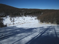 ���}�����������낷�I�@�����ڂ��X�΂�����A���Ȃ�L���ł��B