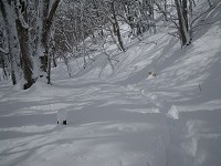 ���������̃g���[�X��ǂ��I�I