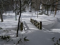 �Ƃ���ǂ���ɂ��鋴�͗ǂ��ڈ󂾁B