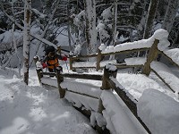 ���x�͏�邯�ǂ��Ȃ���ɂ����I