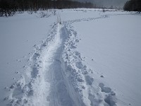 �������肵���g���[�X�B�ł������͎����̏�݂����E�E�E(^^;)