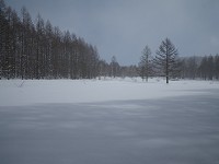 �J���}�c�тƎ����B